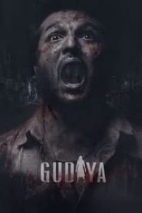 Download Gudiya (2023) Punjabi Movie HQ S-Print || 480p [540MB] || 720p [1.1GB] || 1080p [3.1GB]