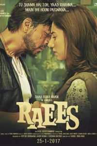 Download Raees (2017) {Hindi} BluRay 720p [1.3GB]