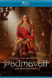 Download Padmaavat (2018) {Hindi} BluRay 480p [502MB] || 720p [1.4GB]